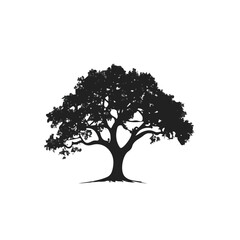 Obraz premium My Simple flat 2D illustration of oak tree isolated on a transparent background, vector, flat design, animation design, simple flat 2D icon, clipart