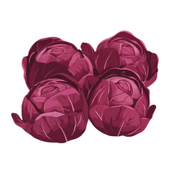 My Simple flat 2D icon, red cabbages group isolated on a white background, vector, vector, flat design, animation design, simple flat 2D icon, minimalist design, vector design, eps