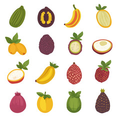 My Simple flat 2D icon, salak fruits set isolated on a white background, vector, vector, flat design, animation design, simple flat 2D icon, minimalist design, vector design, eps