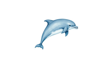 Fototapeta premium Majestic dolphin leaps from ocean waves in breathtaking aquatic display dolphin