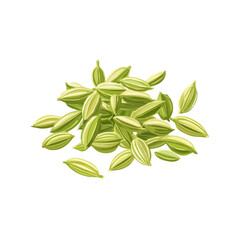My very Simple flat 2D icon, fennel seeds isolated on a white background, vector, flat design, animation design, simple flat 2D icon, minimalist design, vector design, eps format