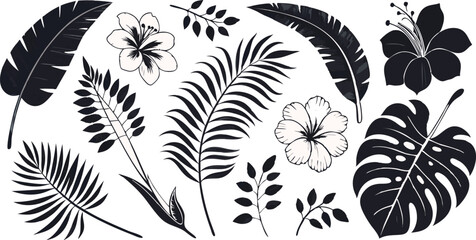 Elegant black silhouettes of tropical leaves and flowers on a white background.