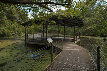Obraz premium Lookout on Goose Lagoon in Territory Wildlife Park, Berry Springs, Northern Territory, Australia 