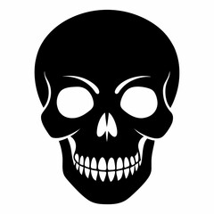 human skull illustration