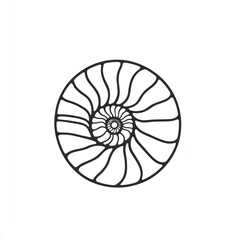 Spiral shell illustration, nature design, white background, decorative art