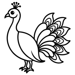 Fototapeta premium Spectral Peacock line art vector