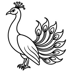 Spectral Peacock line art vector