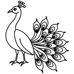 Fototapeta premium Spectral Peacock line art vector