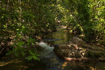 Naklejka premium Shady Creek at Florence Falls in Litchfield National Park, Northern Territory, Australia 