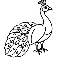 Spectral Peacock line art vector