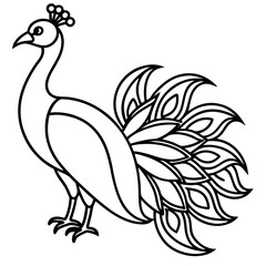 Obraz premium Spectral Peacock line art vector
