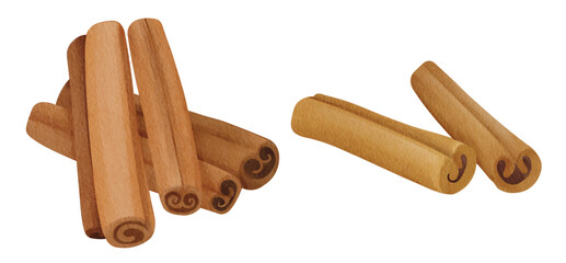 cinnamon sticks spice illustration
