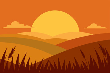 sunset over fields of tall golden grass 