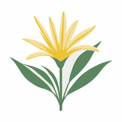 Stylized Ylang-Ylang Flower Vector Illustration