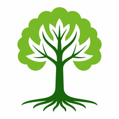 Fototapeta premium green tree isolated on white background