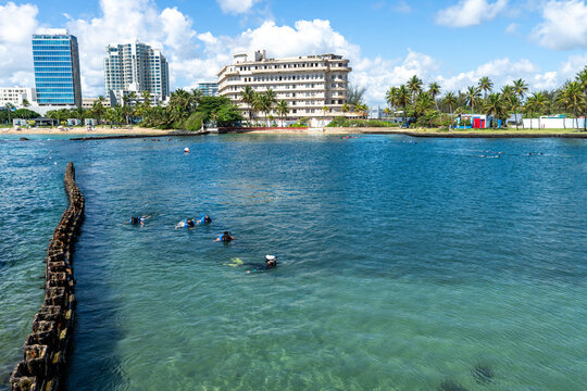 Snorkelers in Escambron Beach San Juan Puerto Rico 