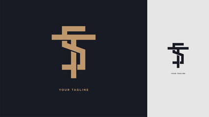Luxury TS or ST Monogram Logo – Minimalist Modern Lettermark Design
