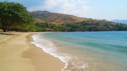 Tropical beach scene with gentle waves