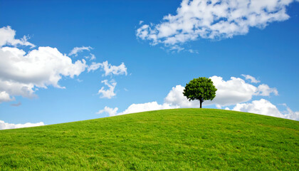 Serene Landscape Lone Tree on a Rolling Green Hill Under a Vivid Blue Sky