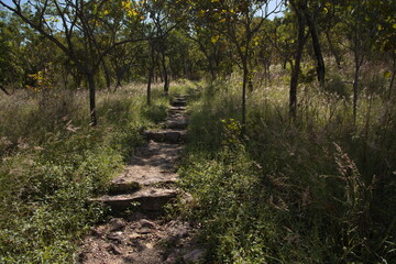 Obraz premium Hiking track to Edith Falls in Nitmiluk National Park, Northern Territory, Australia 