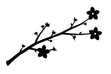 branch of cherry tree