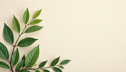 Subtle, organic leaf motif on a neutral backdrop, nature inspired, subtle