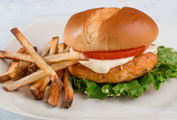 salmon burger with a side of fries