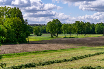 Spring rural landscape with cultivated fields, a row of freshly cut grass, and a group of trees in the background. A bright day with a sky full of white clouds.