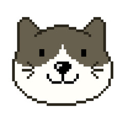 Flat design pixel art Snowshoe cat illustration