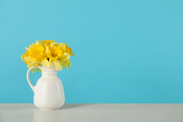 Beautiful daffodils in vase on table against light blue background. Space for text