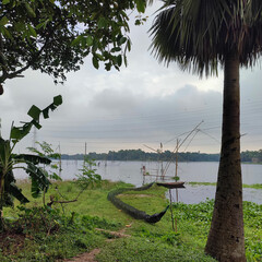 tropical beach with palm trees