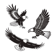 Obraz premium Egal black and white vector