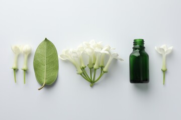 Plakat Bottle of essential oil, jasmine flowers and green leaf on white background, flat lay