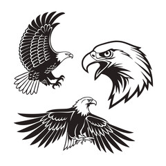 Egal black and white vector