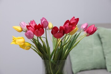 Beautiful colorful tulips in vase indoors, closeup