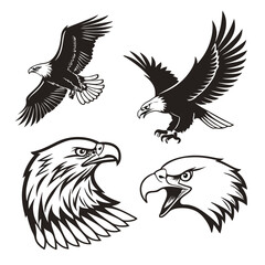 Egal black and white vector