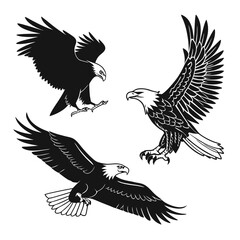 Egal black and white vector