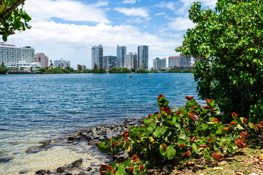 Stand up paddle boarders in the Condado Lagoon San Juan Puerto Rico 