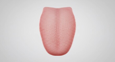 Fototapeta premium Human tongue anatomy close up detailed view on a neutral backdrop