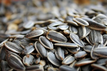 Sunflower seeds