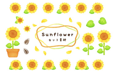 ひまわりの花のセット素材