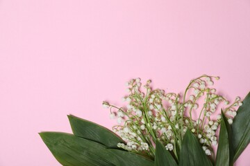 Beautiful lily-of-the-valley flowers and leaves on light pink background, flat lay. Space for text