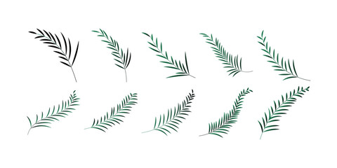 Palm Leaf Decoration
