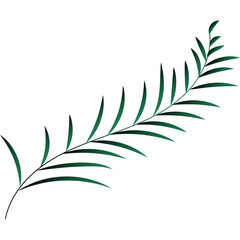 Palm Leaf Decoration