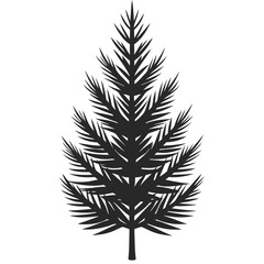 Pine sapling silhouette with sharp needles