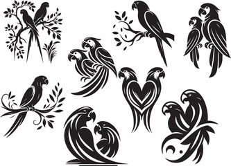 Elegant black and white parrot designs tropical birds