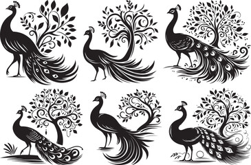Elegant black and white peacocks with ornate trees