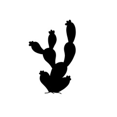 Cactus silhouette illustration