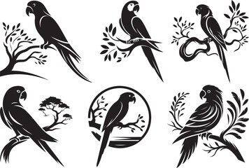 Six silhouettes of parrots perched on branches and trees