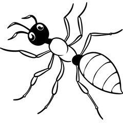 Fire Ant line art vector